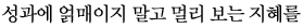 성과에 얽매이지 말고 멀리보는 지혜를